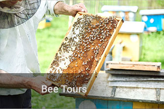 Bee Tours