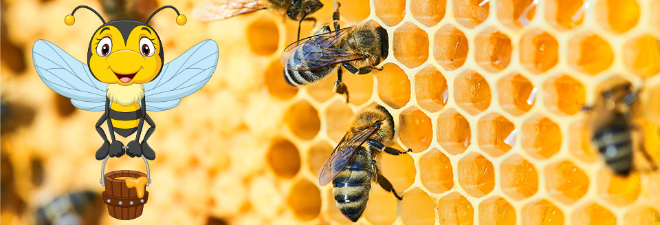 Beeswax banner2