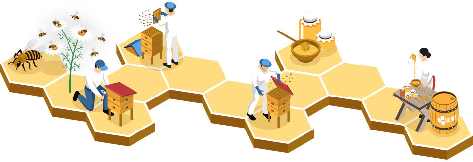 Honey Production 