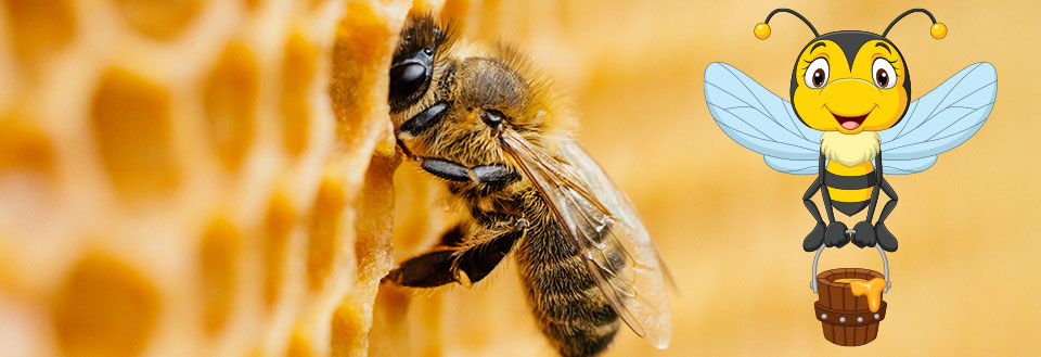 Step3 raw honey
